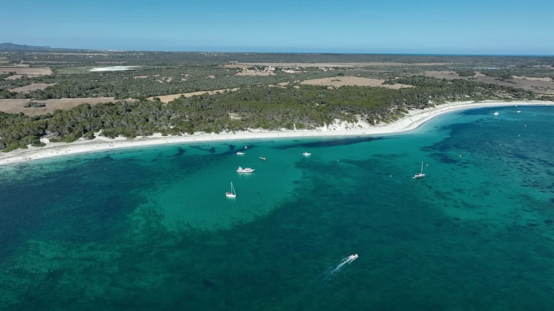 Tour en bateau / Beach Taxi Es Trenc